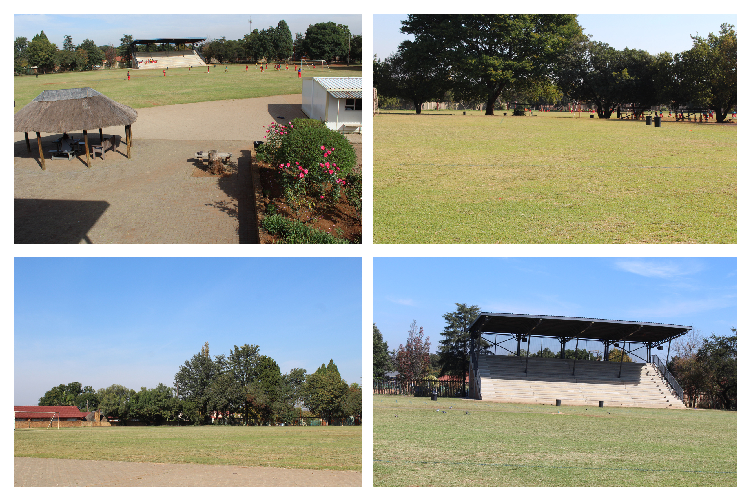 Sport's Facilities