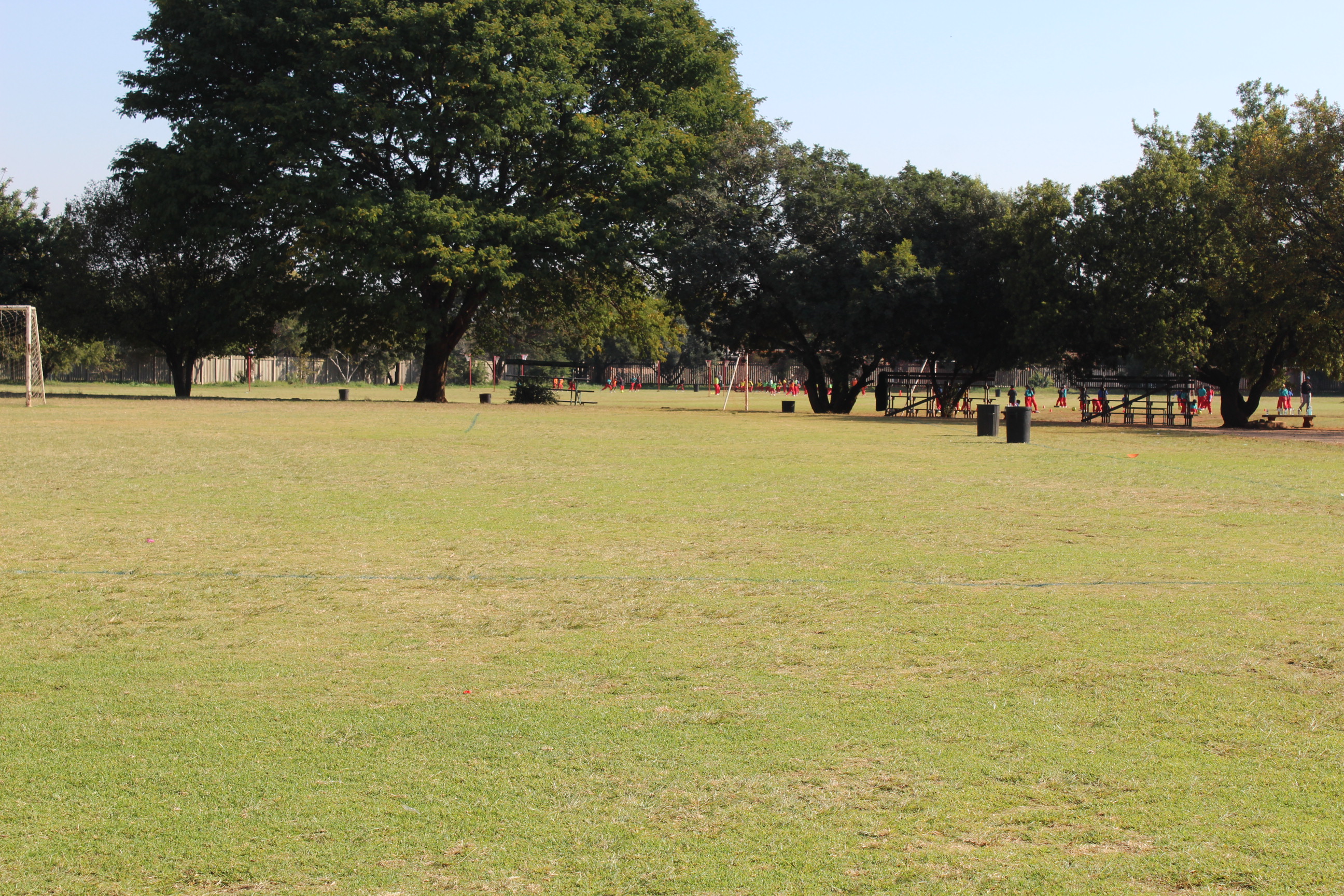 Sports Field